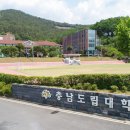 306 뉴시스