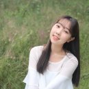 하연