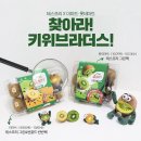 키위디자인광고 이미지