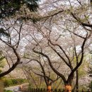 수봉궁도장 이미지