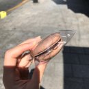 스윗리틀띵