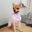 예뻐지개 이미지