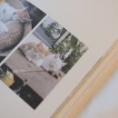 초록초록 가드닝 이미지