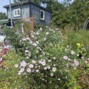 행주농장 이미지