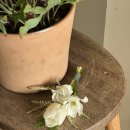 러브 | 웨딩스냅 촬영 후기_로우러브