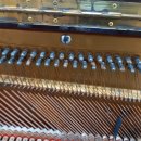 정음음악학원 이미지