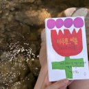 아무튼, 여름 〈김신회〉