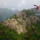 천지만물상