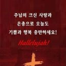 덴마크보청기 이미지