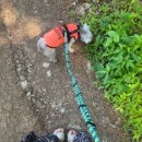 해피뷰매점 이미지