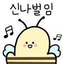 247헤어 이미지