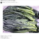 뉴그린농장 이미지