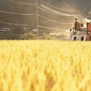 한창헬스 이미지