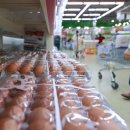 천안메추리농장 이미지