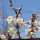 강화군립어린이집 이미지