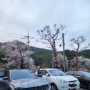 연담 | 강원도 삼척 "가성비" 애견동반가능 펜션,가족펜션,연담펜션후기