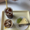 포랑 | [강릉 카페] 이 비주얼 실화? 인생 단호박무스케이크 만난 '카페 포랑' 솔직 후기