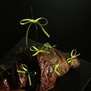 베이커리윤 이미지