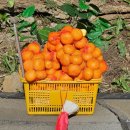 갱이농장 이미지