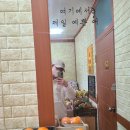 얌마과일 이미지