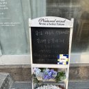 식물학작업실