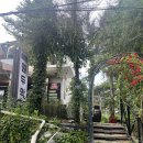 원두막 | ▶ 파주 찐 맛집 [ 애룡원두막 ] 내돈내산 후기 ◀