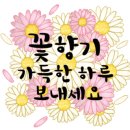 영광즉석김 이미지