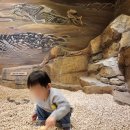 바다놀이터 이미지