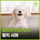 해오름 동물병원 이미지