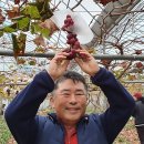 박영환농장 이미지