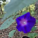 인천대공원역 이미지