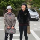 정상길 Daum카페