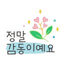 자양보 오토 캠핑장 이미지