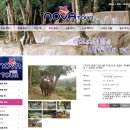 루앙프라방 자유여행 땃새폭포+코끼리트래킹 (노바투어)