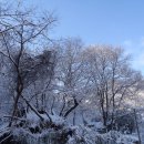 광산구-151 이미지