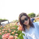 곡성상회 이미지