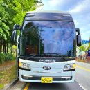 나주영상테마파크 | 🚍추천🚍 광주전세버스연합 | 광주 전남 버스대절·관광버스 믿고 맡길 수 있는 이유!