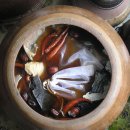 자연모두 이미지