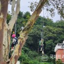 국제트리플레잉협회 이미지