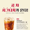 브라운슈가 이미지