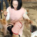 맡겨주개 이미지