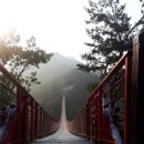 심심산골 이미지