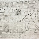 메디넷 이미지
