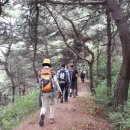 용주축산 Daum카페