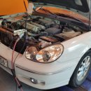 여시카센타 이미지