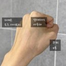 아우라 | 샹테카이 쿠션 아우라 내돈내산 후기 :: 수부지/여드름 피부의 인생 쿠션 등극 (라메르/구찌 비교)