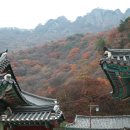 대삼사