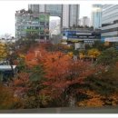 헤어풍경 이미지