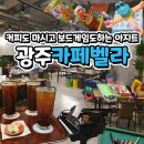 벨라151 이미지