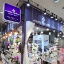 ㈜이마트둔산점 | 대전 꽃다발 이마트근처 가성비꽃집 대전둔산꽃집 비올레뜨 다녀온후기